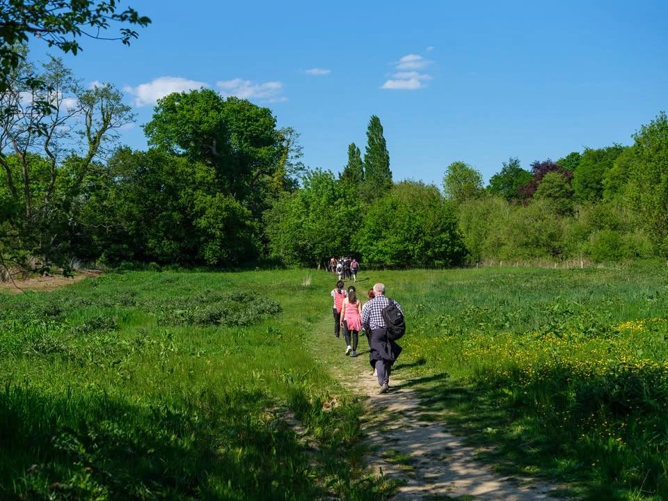 Hiking: Marden Park & Greensand Way North – Sat 15 Aug 2027