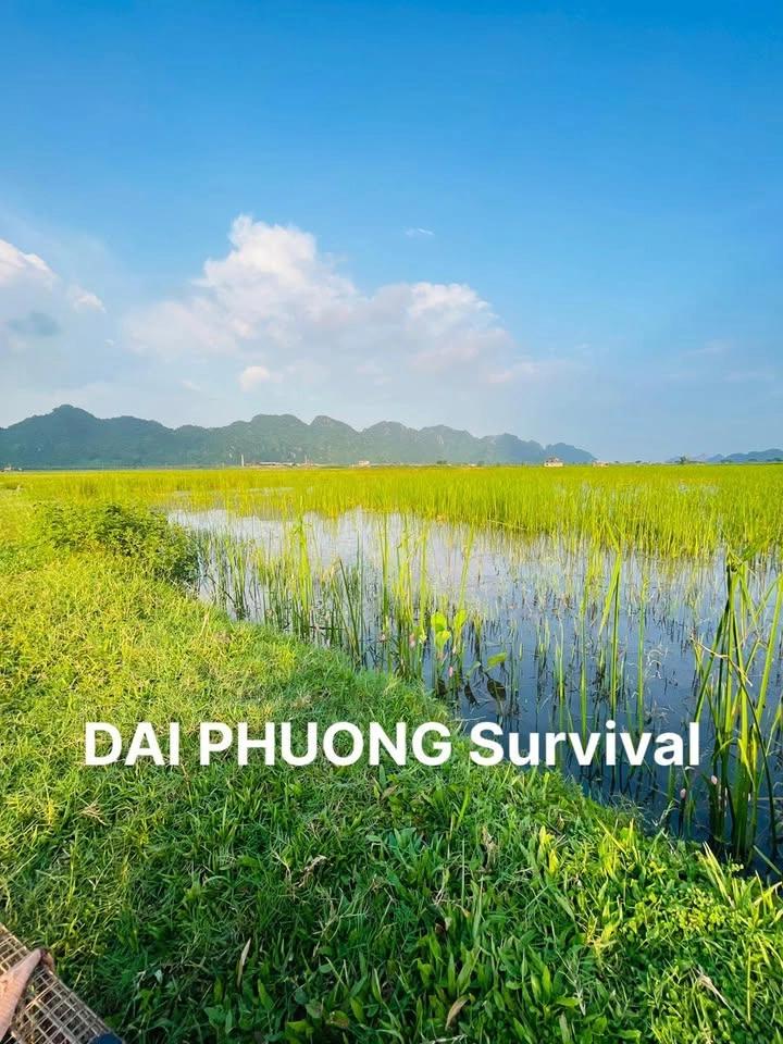 Live thăm chuột vào tối thứ 2