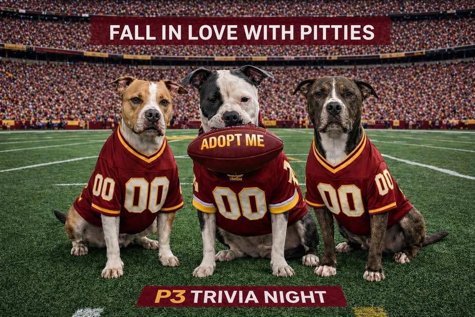🍁🐾🏈 Fall in Love with Pitties: Football Celebration & Trivia Night 🏈🐾🍁