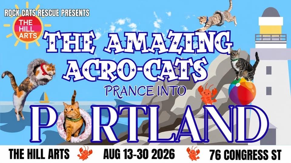 Rock Cats Rescue presents: The Amazing Acro-Cats!