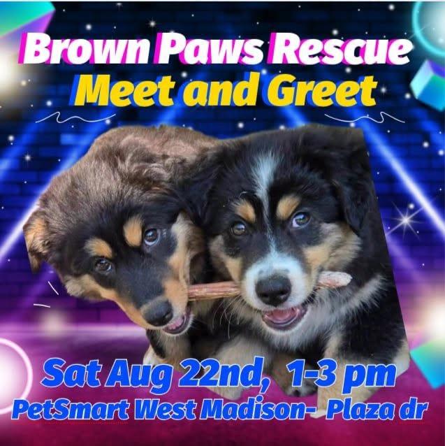 Meet & Greet at Petsmart West