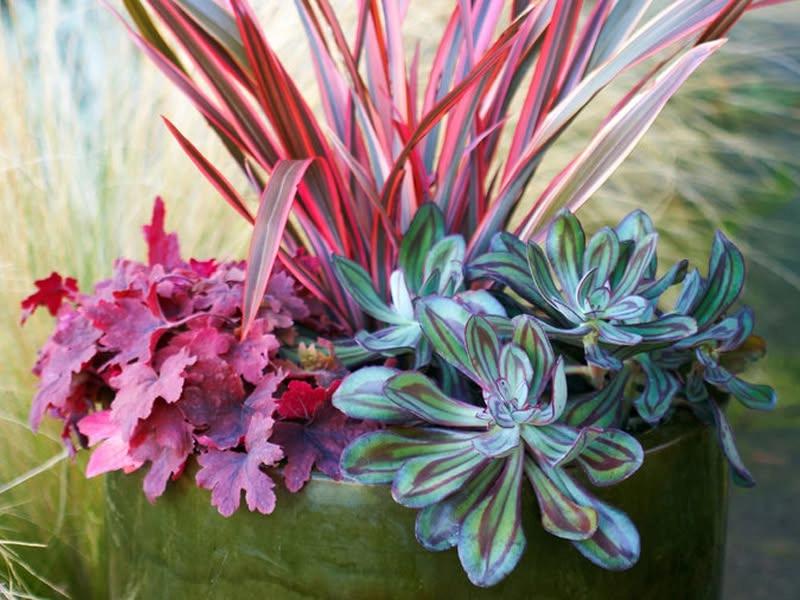 Fall Container Class
