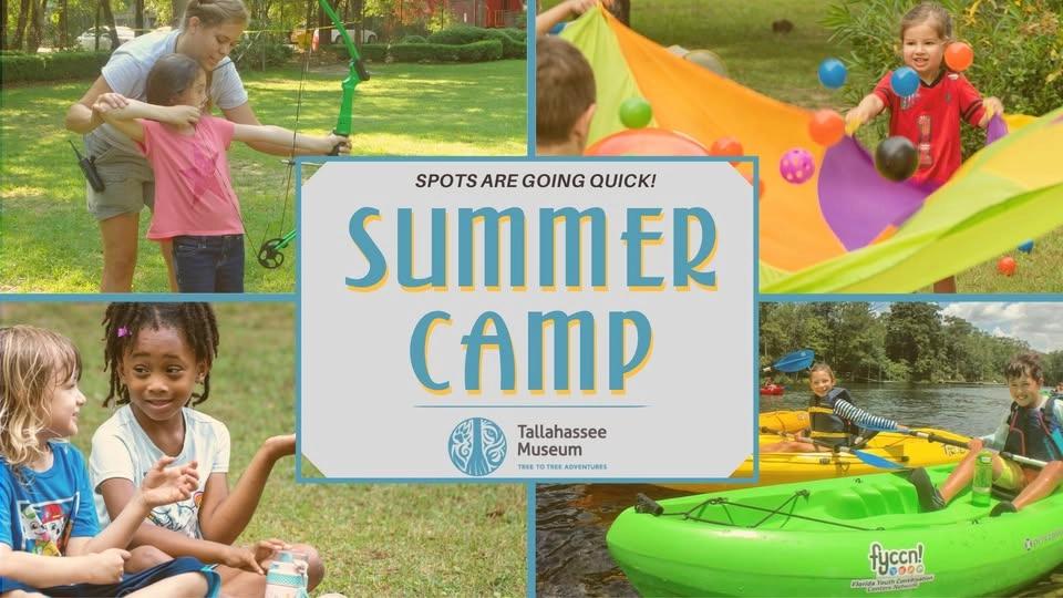 SUMMER CAMP at the Tallahassee Museum - Secure Your Spot!