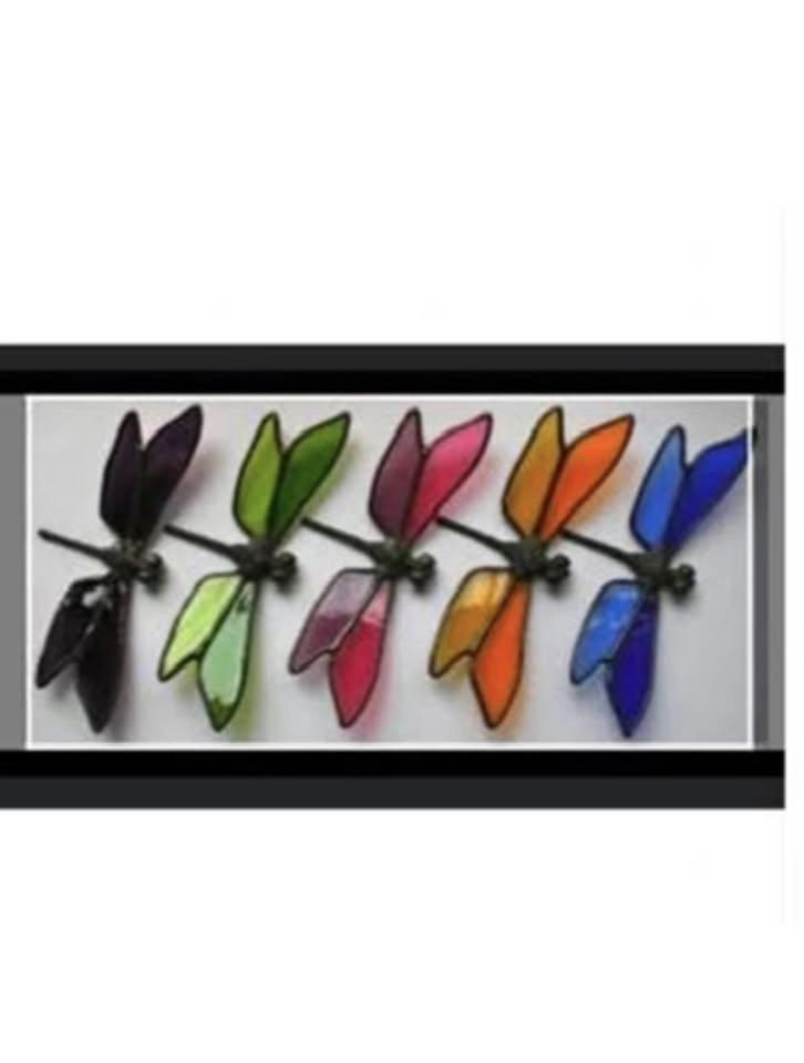 🦋Dragonfly or butterfly 🦋 make and take make and take class