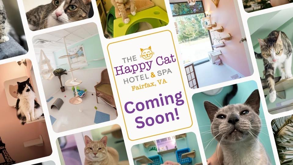Happy Cat Hotel Fairfax GRAND OPEN!