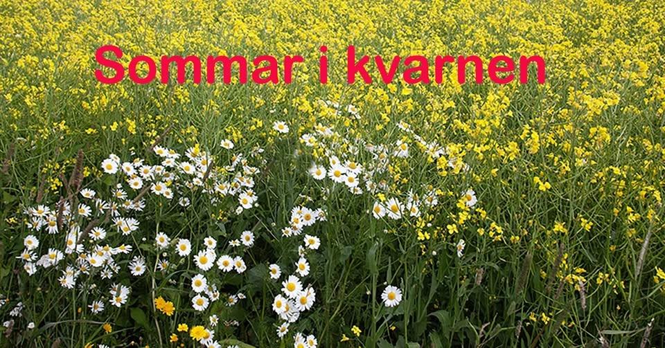 Sommaröppet på Hillefors grynkvarn