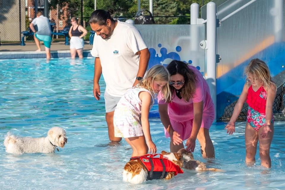 Pool Party for Pooches