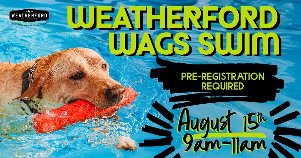 Weatherford Wags - Dog Swim