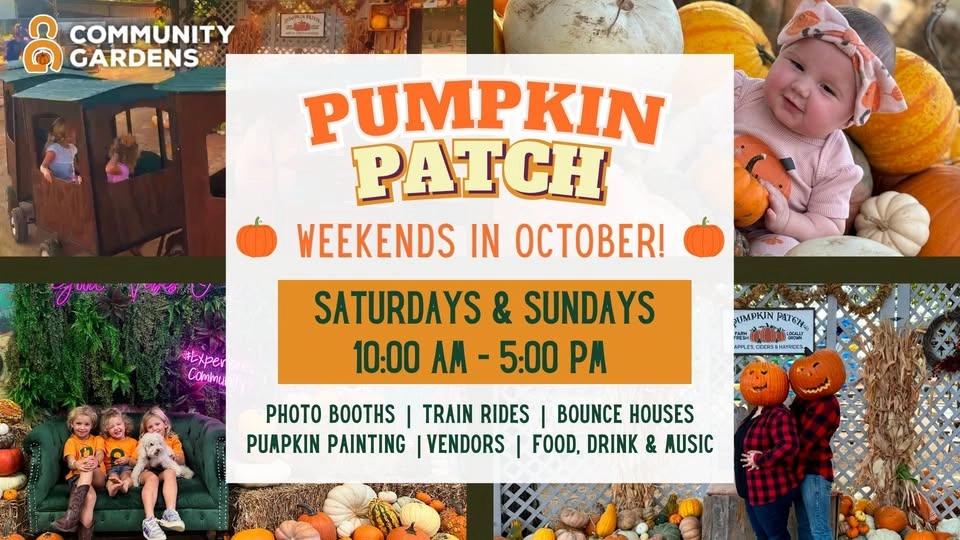 Pumpkin Patch at Community Gardens