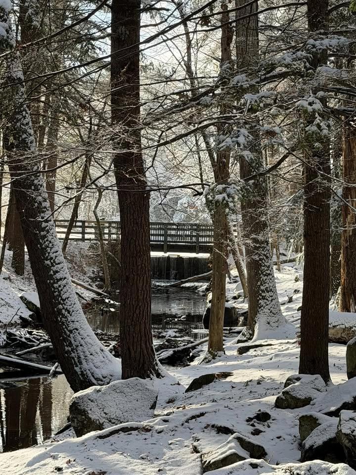 Mine Falls Park Trail Day