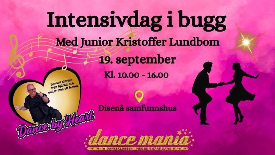 Intensivdag i bugg