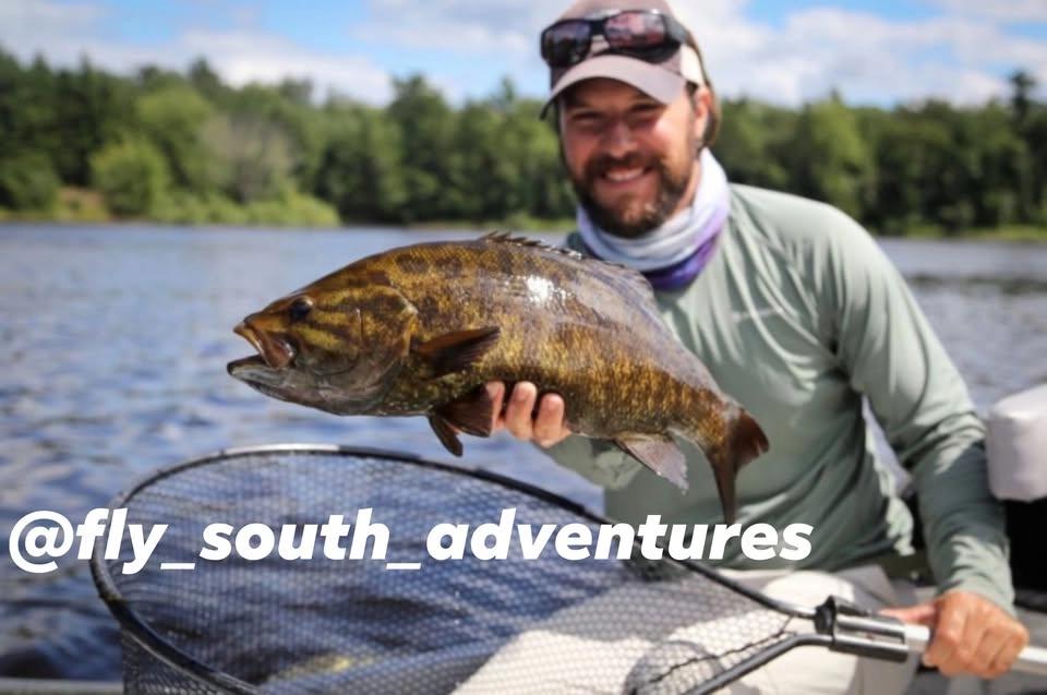 A Day with an Expert- Ben Levin