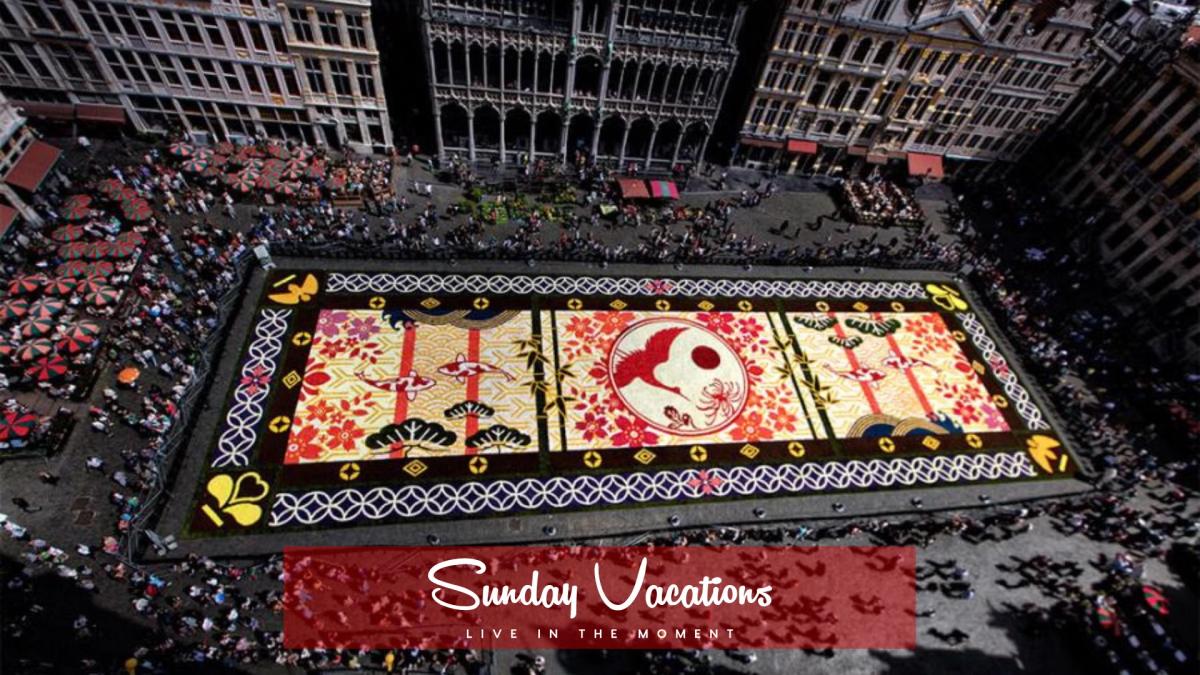 πΈ Brussels Flower Carpet by Night | Exclusive Town Hall Balcony View