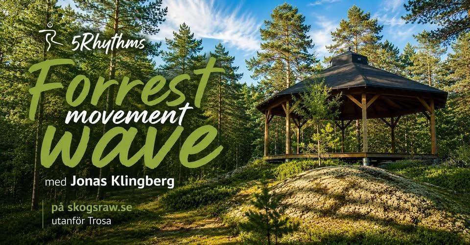 5Rhythms® Forrest Movement Wave