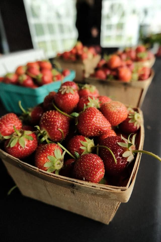 Farmer's Market Friday