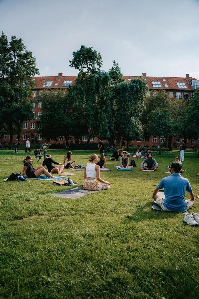 Wednesday Donation Based Park Yoga July & August 🌳🦋