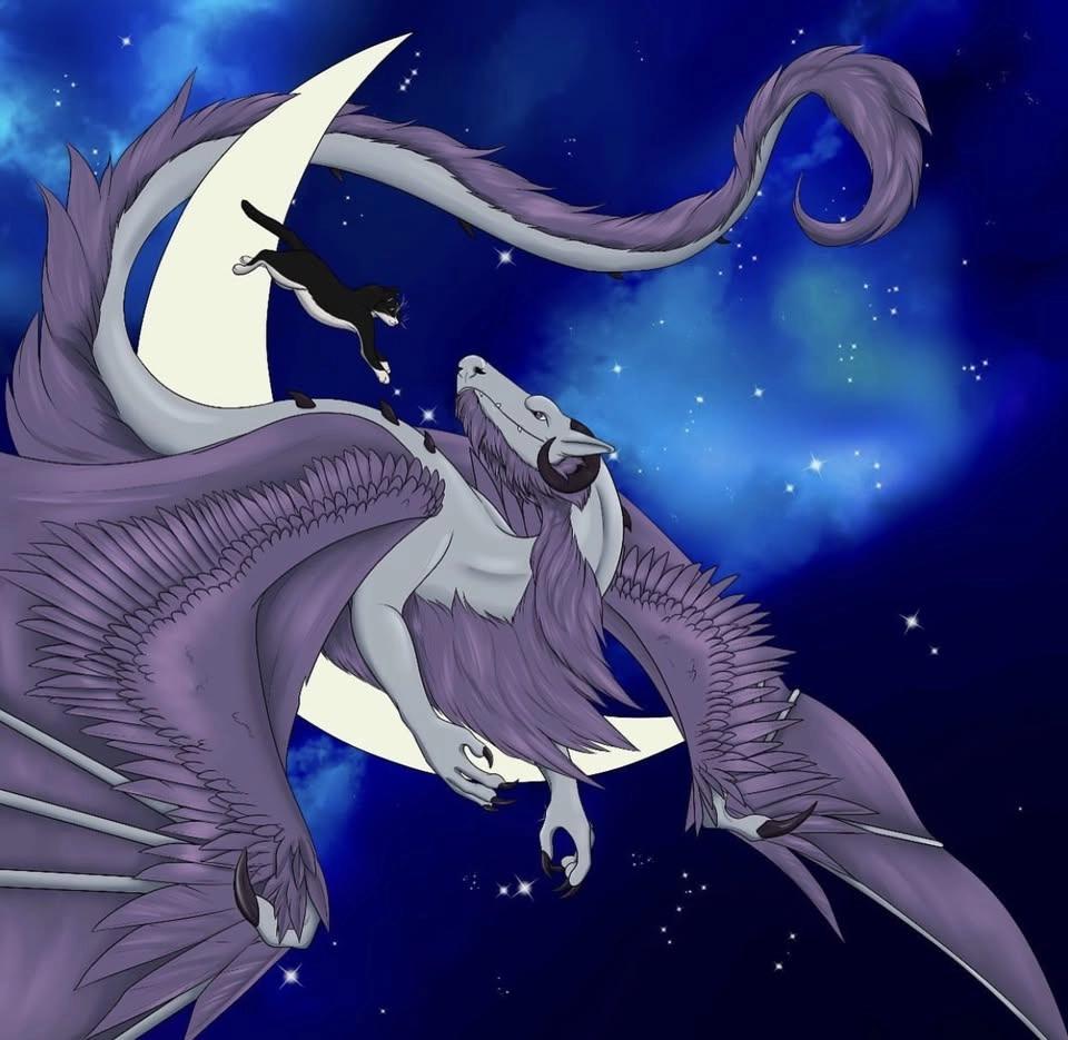 Luna Con V