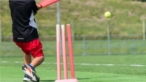 🏏 Cricket for Internationals (read the description)