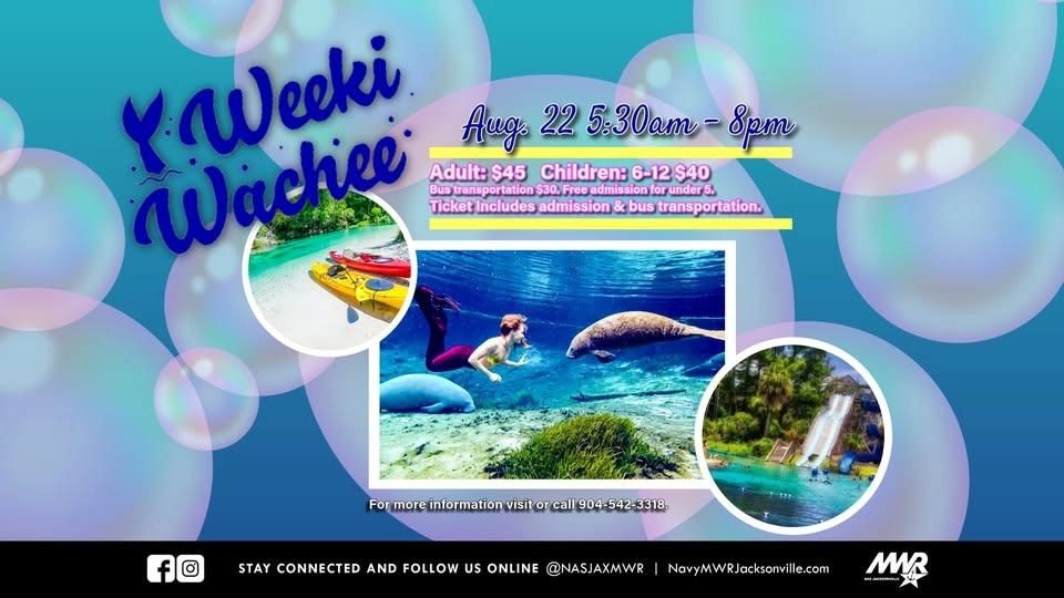 Weeki Wachee Day Trip