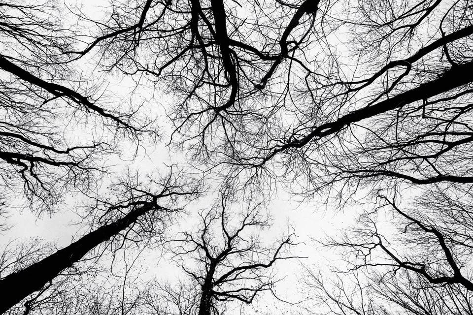 Beyond Deep Tissue: Nervous System–Informed Massage for Lasting Results