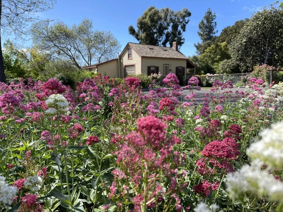 Tuesday Volunteering at Shinn Park