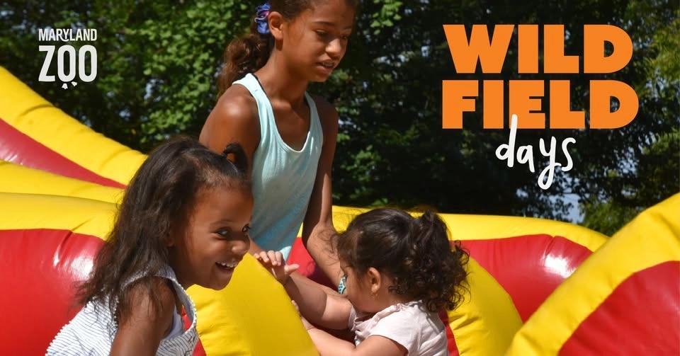 Wild Field Days: Labor Day Weekend