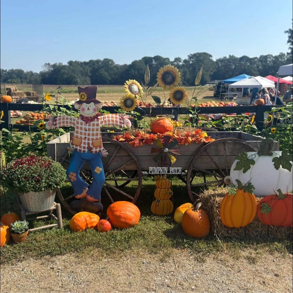 Center Post Pumpkin Patch 2026 Opening Day