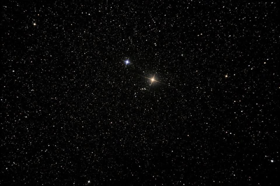 The Napa Perseid Experience