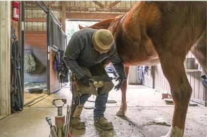 Podiatry for the Modern Equine Athlete Seminar - Jerry Huntsinger