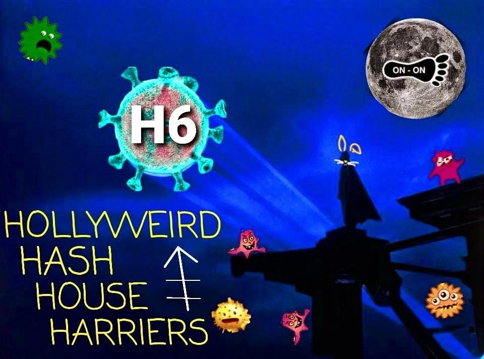 Hollyweird Hash House Harriers HapPy Hour w/ American Legion Party 310 ~ H6#31?