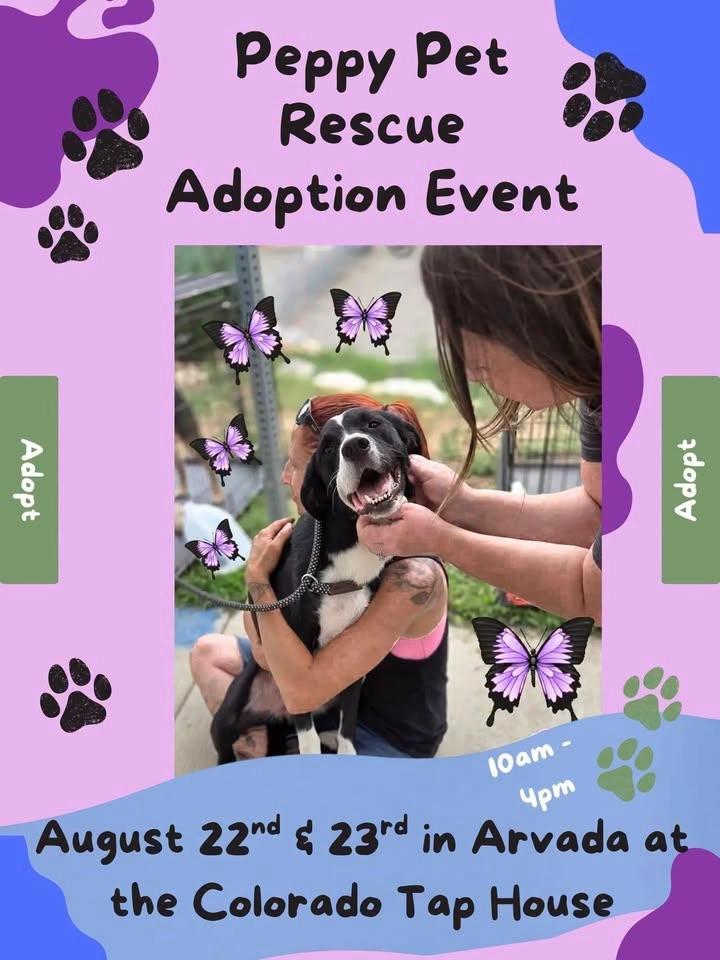 August 2026 Event - Peppy Pet Rescue 💫