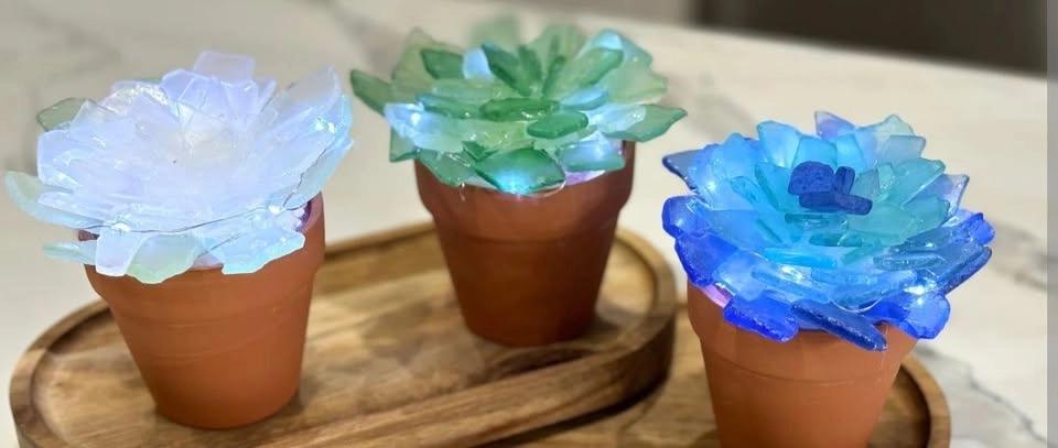 Sea Glass Succulents!
