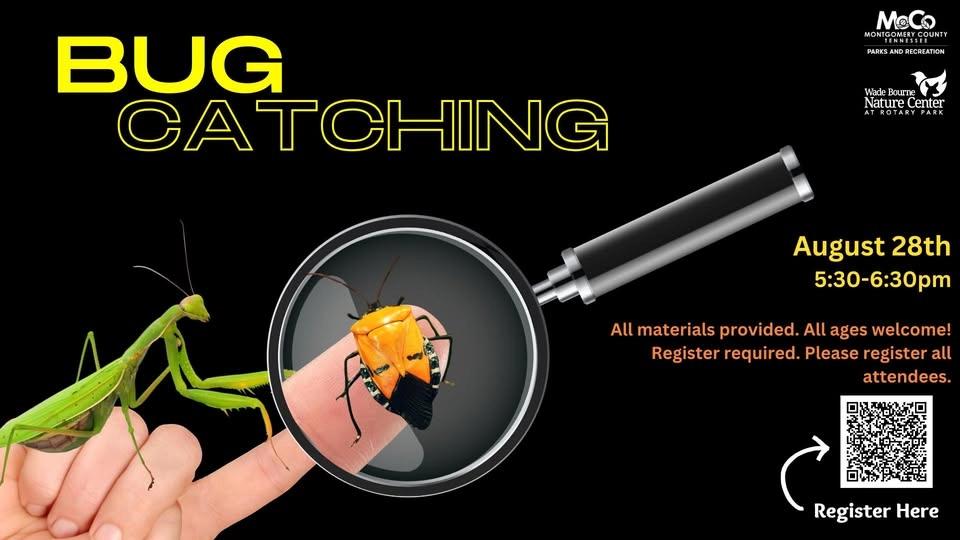 Bug Catching