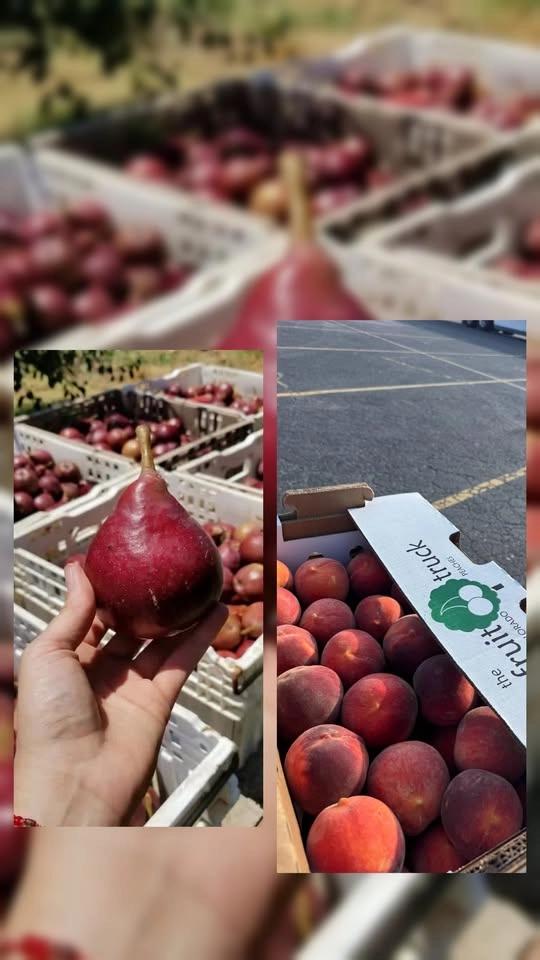 Warsaw MO Red Bartlett Pears & Colorado Peaches๐๐