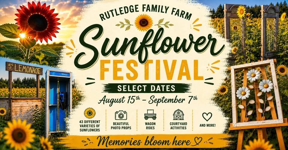 Sunflower Festival at Rutledge Family Farm