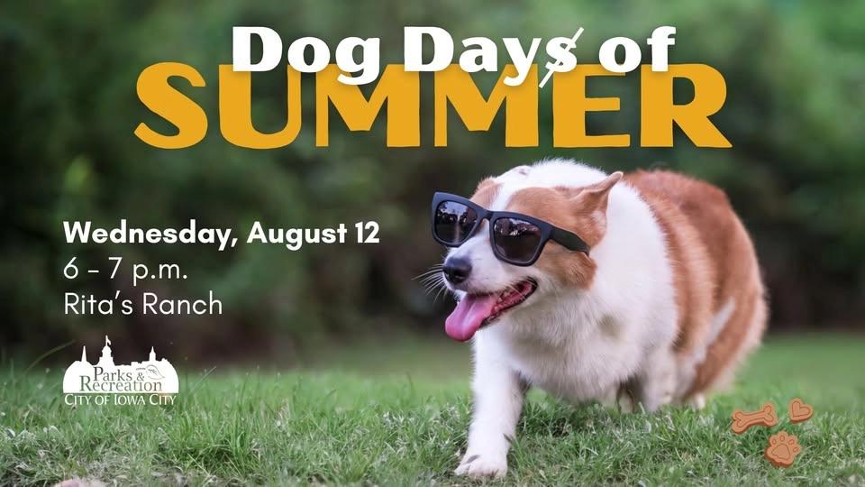 Dog Dayꞩ of Summer
