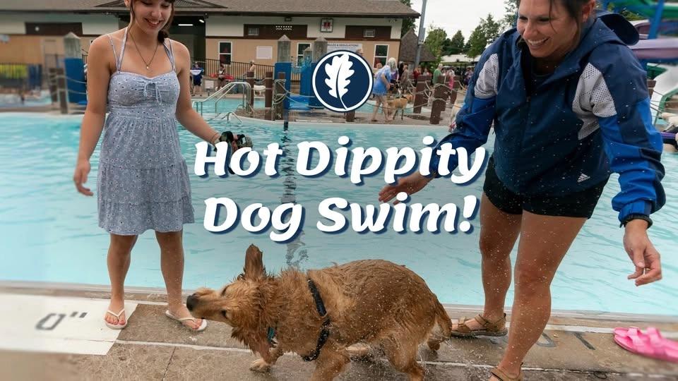Hot Dippity Dog Swim