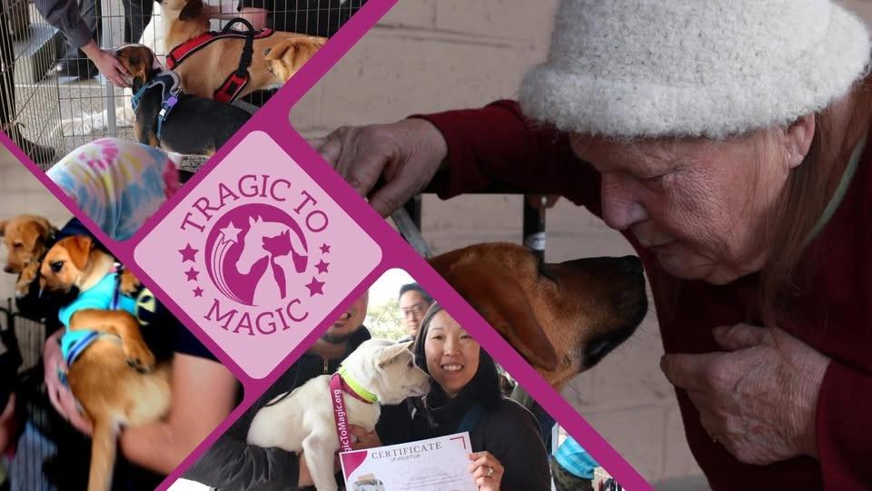 OCEANSIDE Adoption Event