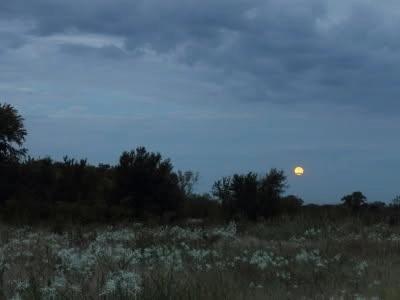 Perseids Meteor Shower Viewing Party