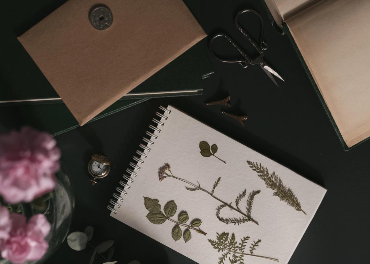 The Pause - A quiet women-only afternoon to journal, read, write, craft or work