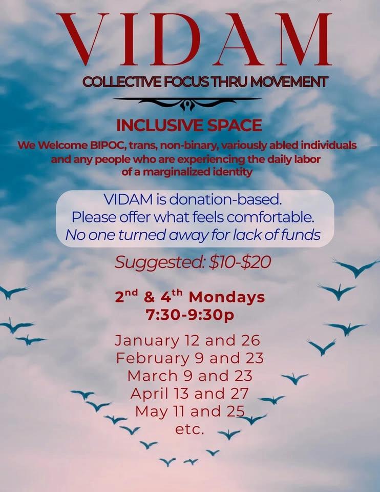 VIDAM - Curated Music and Movement Space