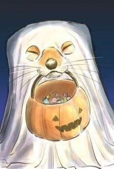 Fox and Fern Halloween!