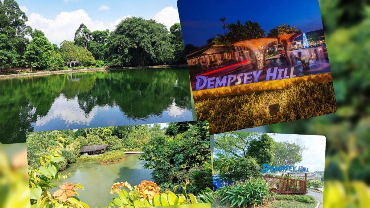3-in-1 Hike 🤩 : Discovery Wetlands, Dempsey Hill & the Diplomatic Belt