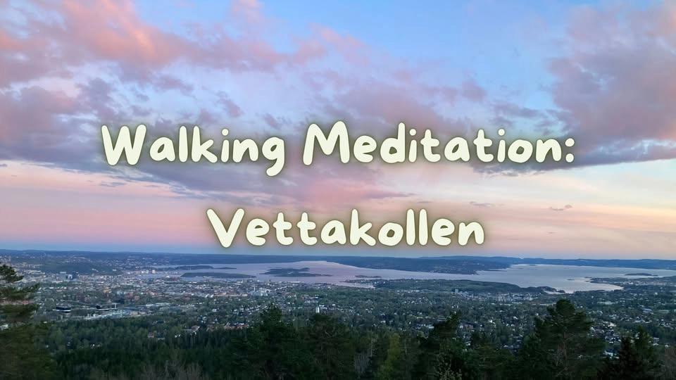 Walking Meditation at Vettakolen