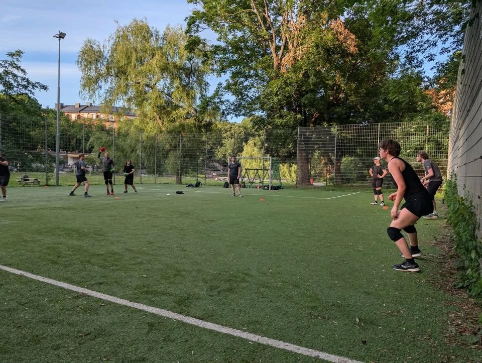 Outdoor Dodgeball Intermediate Foam
