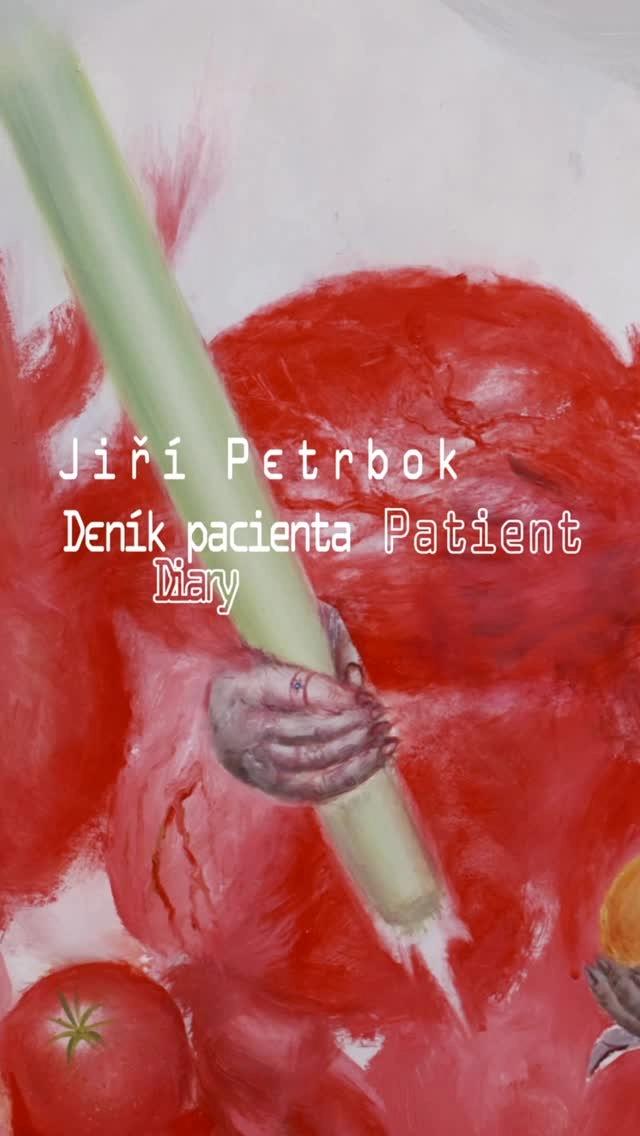 Deník pacienta / Patient Diary