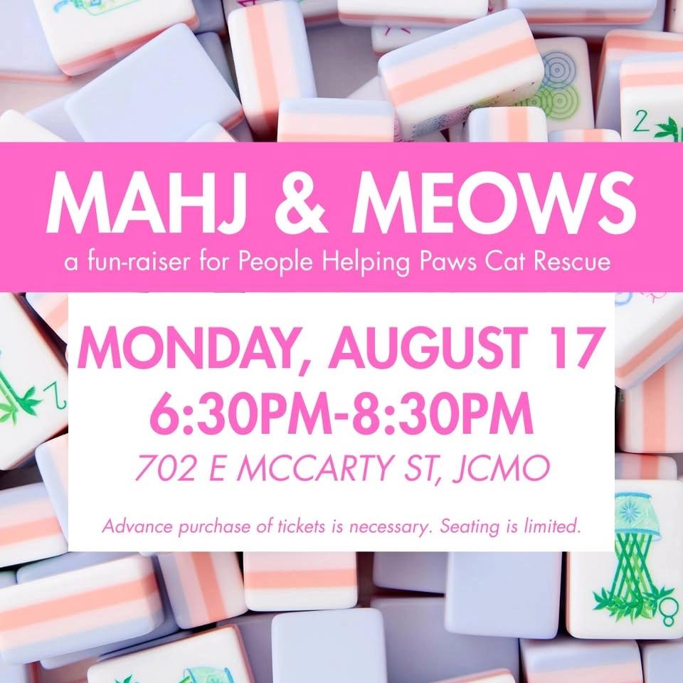 Mahjong 101 // Baristocats Cat Cafe // August 17