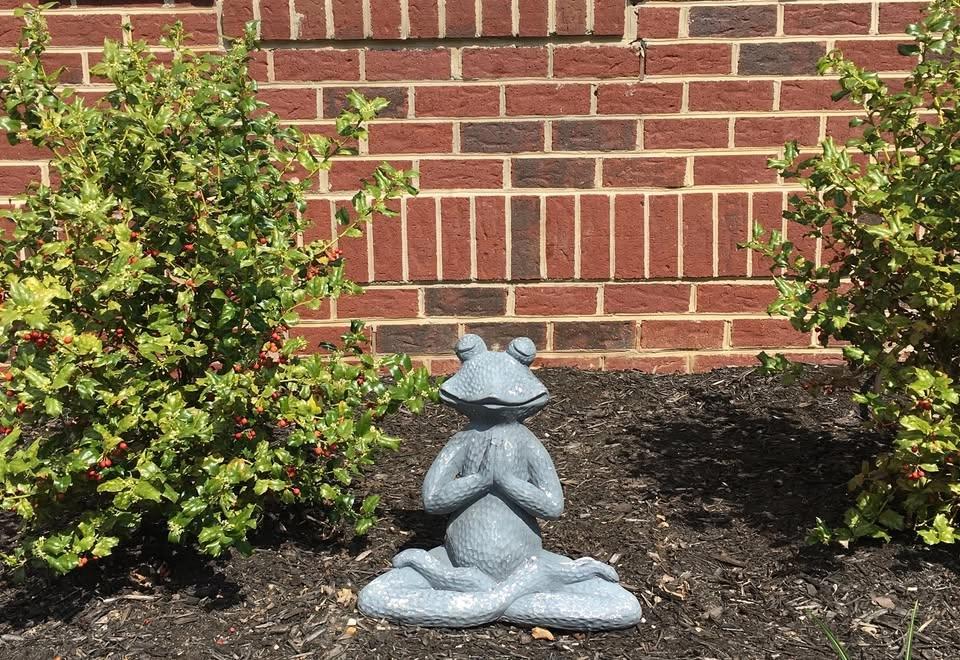 Beginner/Refresher Yoga