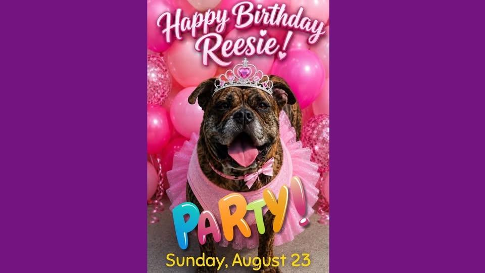 You're Invited to Reesie's Birthday Paw-ty!