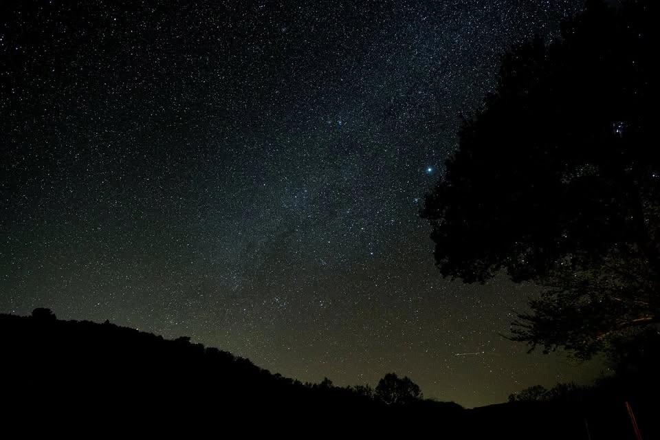 Star Party!